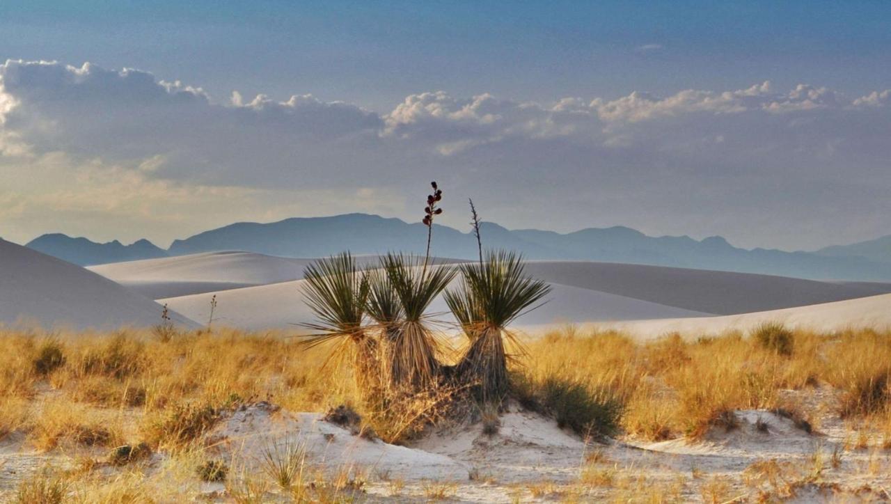 The Classic Desert Aire Hotel Alamogordo Εξωτερικό φωτογραφία